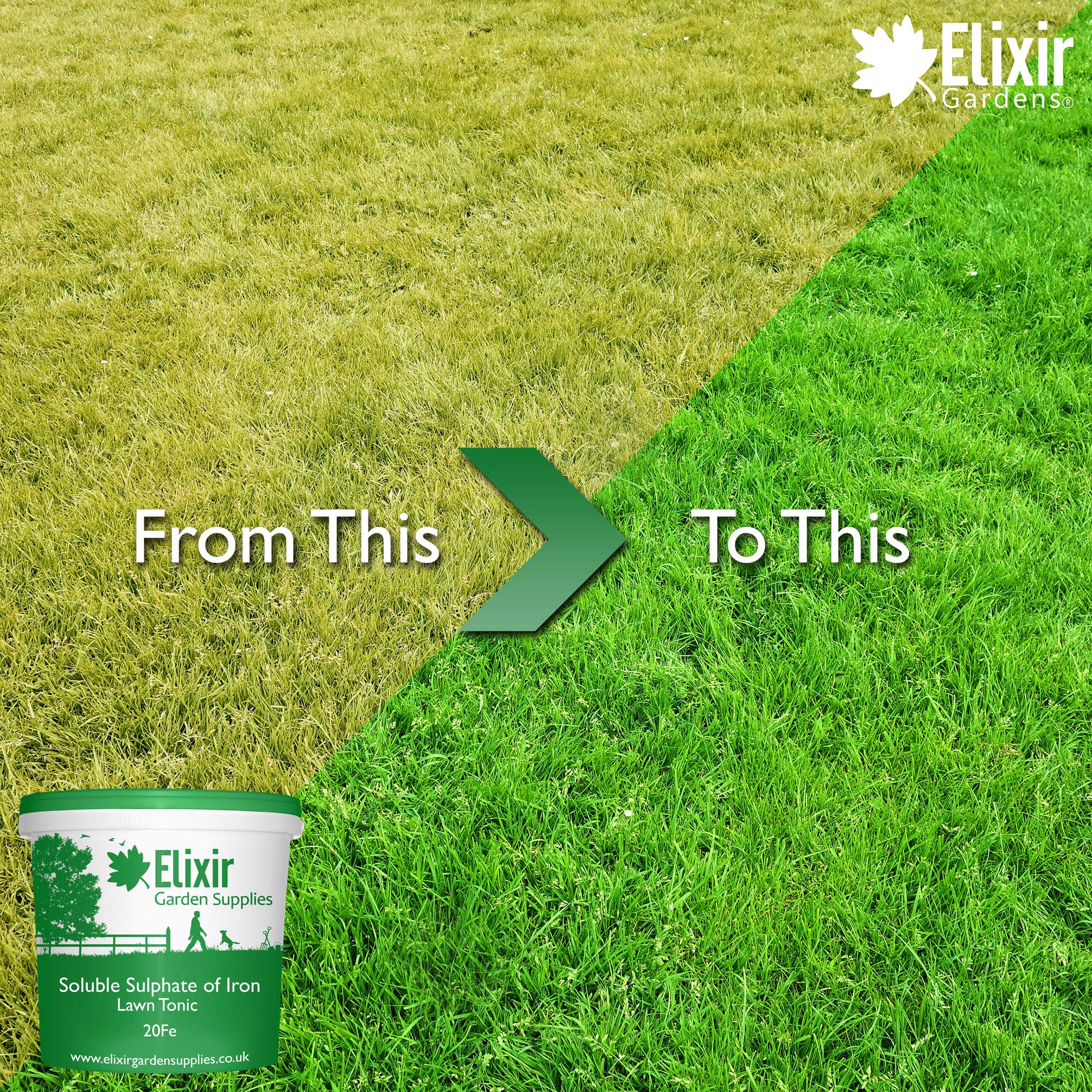 Buy Elixir Gardens 20 FE Soluble Iron/Ferrous Sulphate Lawn Tonic & Grass GreenUp 2kg Bag