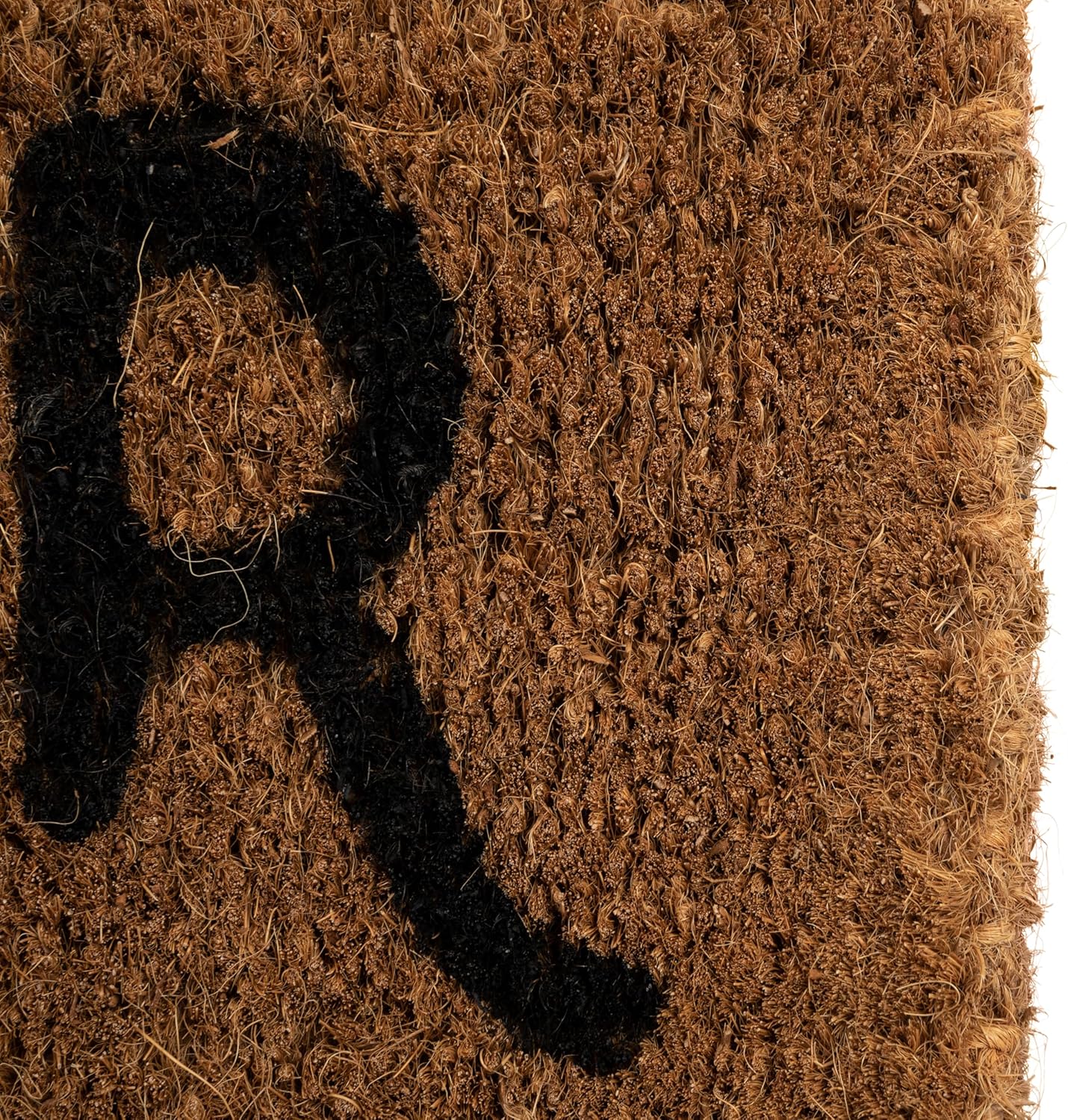 Creative Co-Op Bonjour/Au Revoir Rectangle Coir Doormat