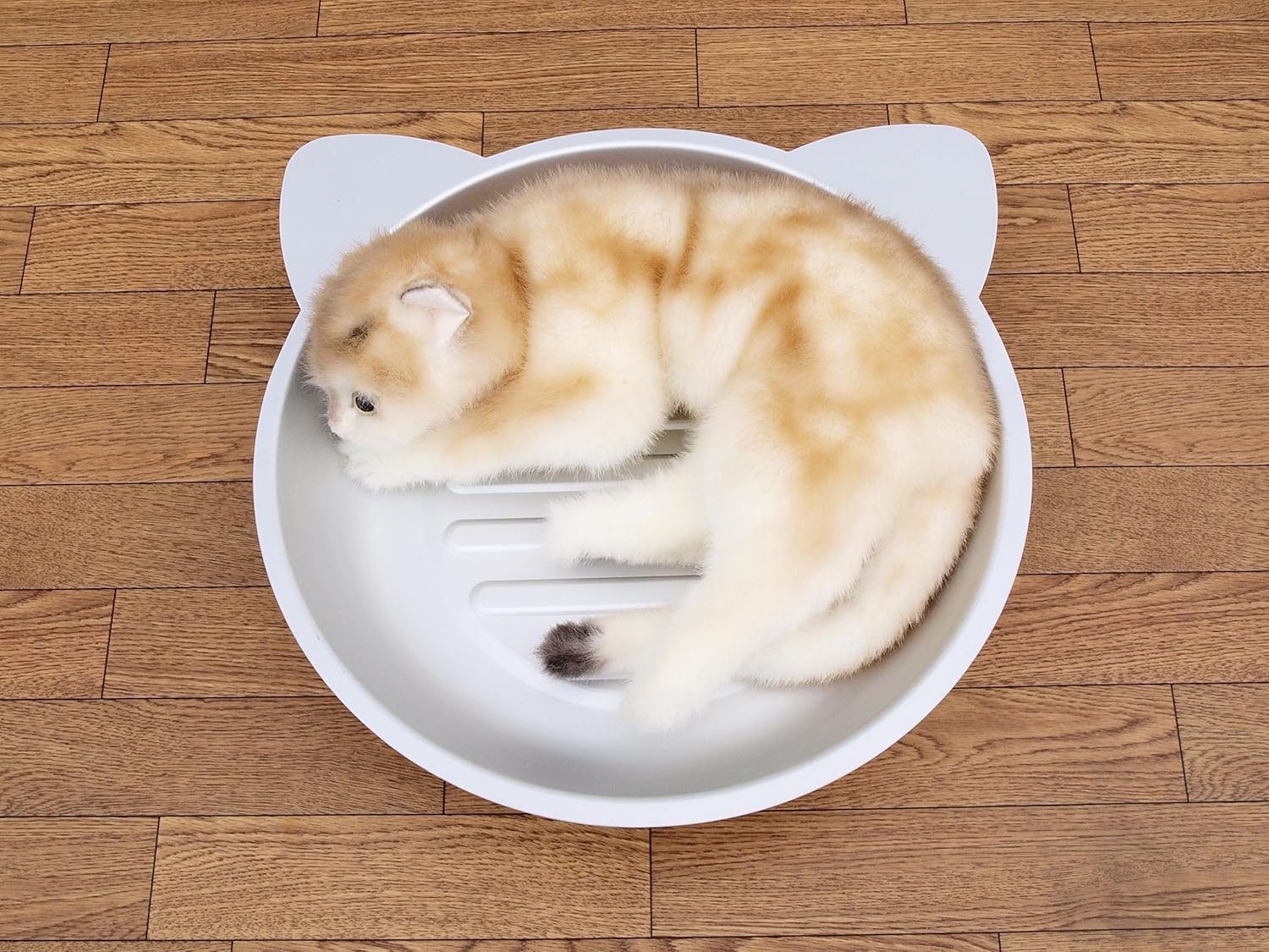 最大62 Offクーポン Rc24 クールベッド 冷え冷え 猫たらい ひんやり アルミ鍋 クールキャット 最大62 Offクーポン Rc24 クールベッド 冷え冷え 猫たらい ひんやり アルミ鍋 クールキャット