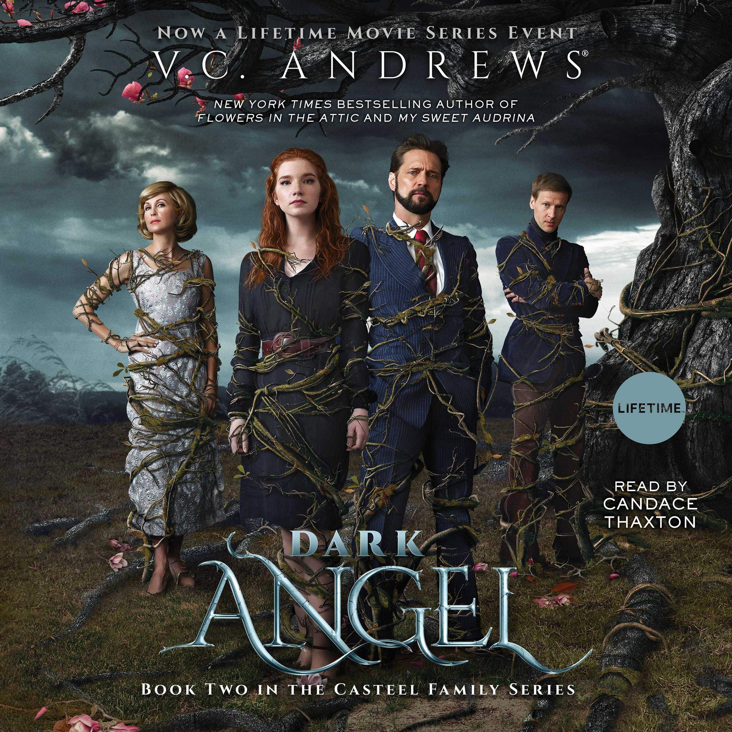 Cover art for Dark Angel