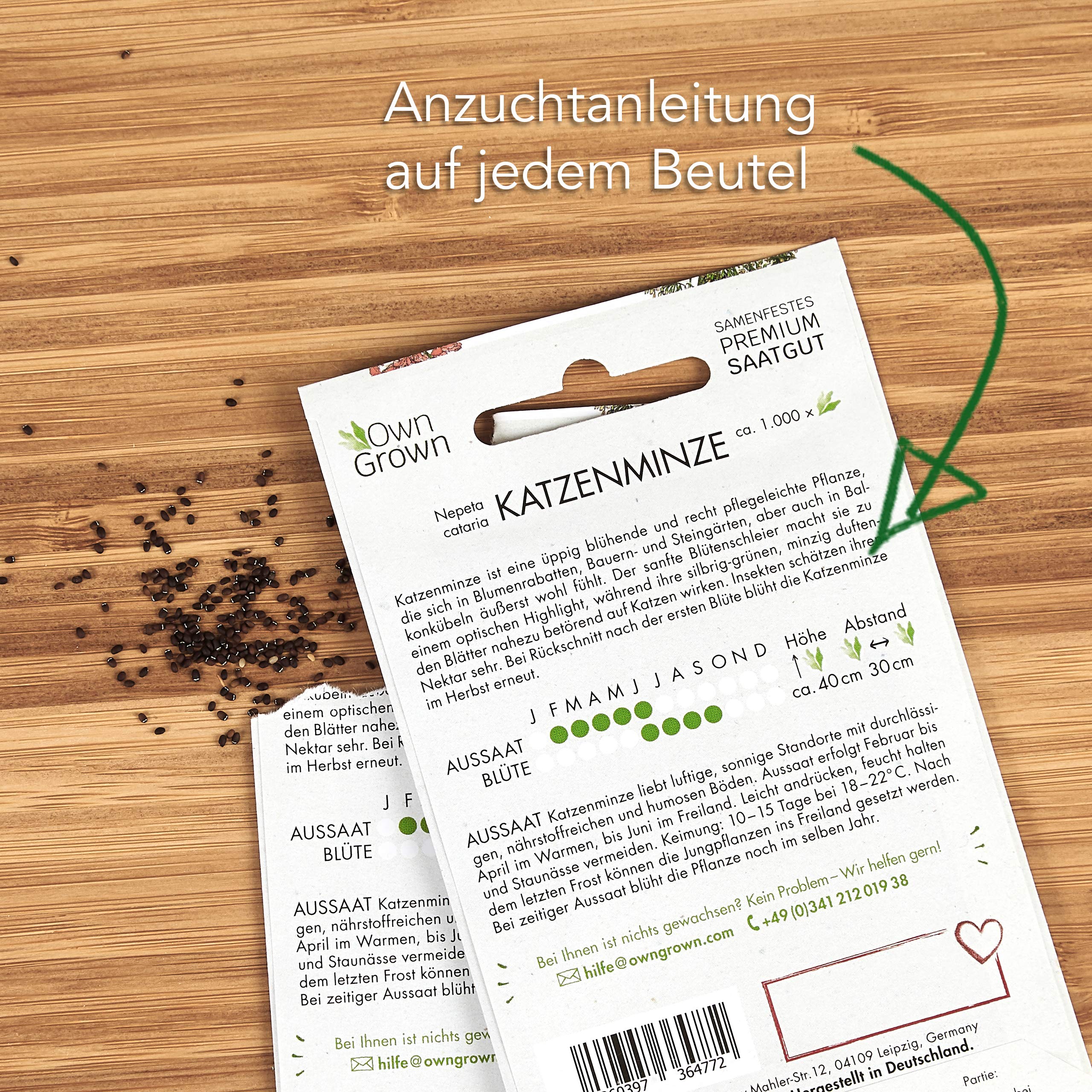 OwnGrown Katzenminze Samen: Premium Katzenminze Saatgut zur Anzucht von ca 1000 Katzenminze Pflanzen – Nepeta Cataria Samen Katzenminze für Topf und Garten – Catnip Pflanze Saat – Katzen Zubehör