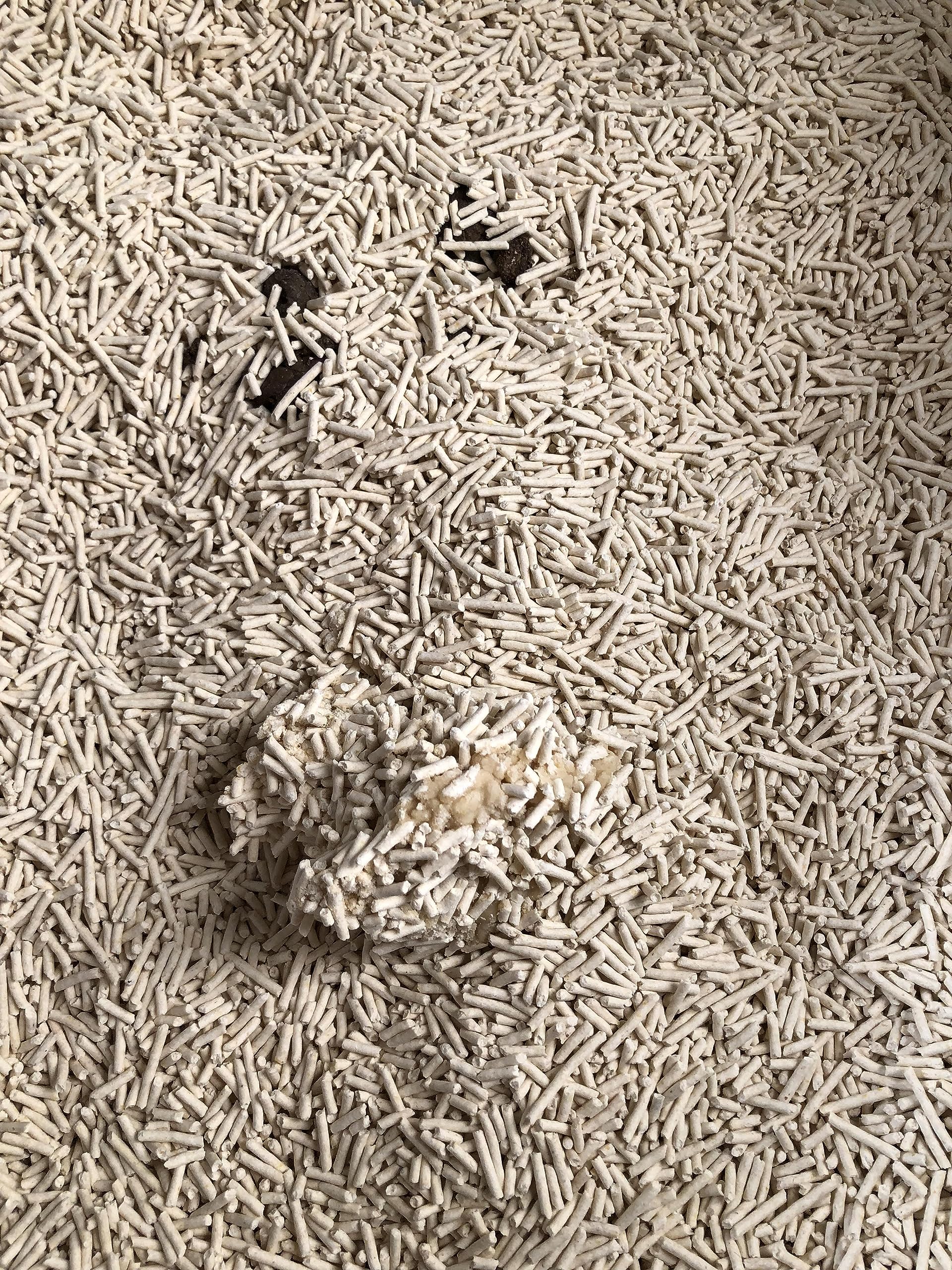 Litière Agglomérante Biologique Naturelle pour Chat - Contrôle des Odeurs Agglomérantes - Jetable - Longue Durée - Sans Poussière - Fermeture Éclair