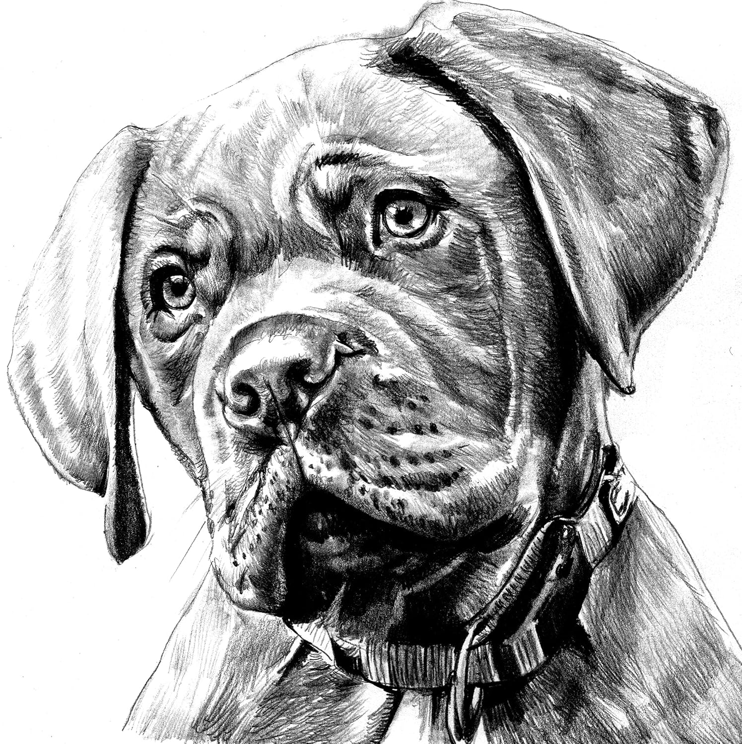 Hinkler Art Maker Masterclass Collection: Drawing Techniques Kit - Adults Drawing Kit - Lifelike Drawing - Drawing Stationary - Advanced Drawing Guide - Arts and Craft for Adults - Craft Kits Medium