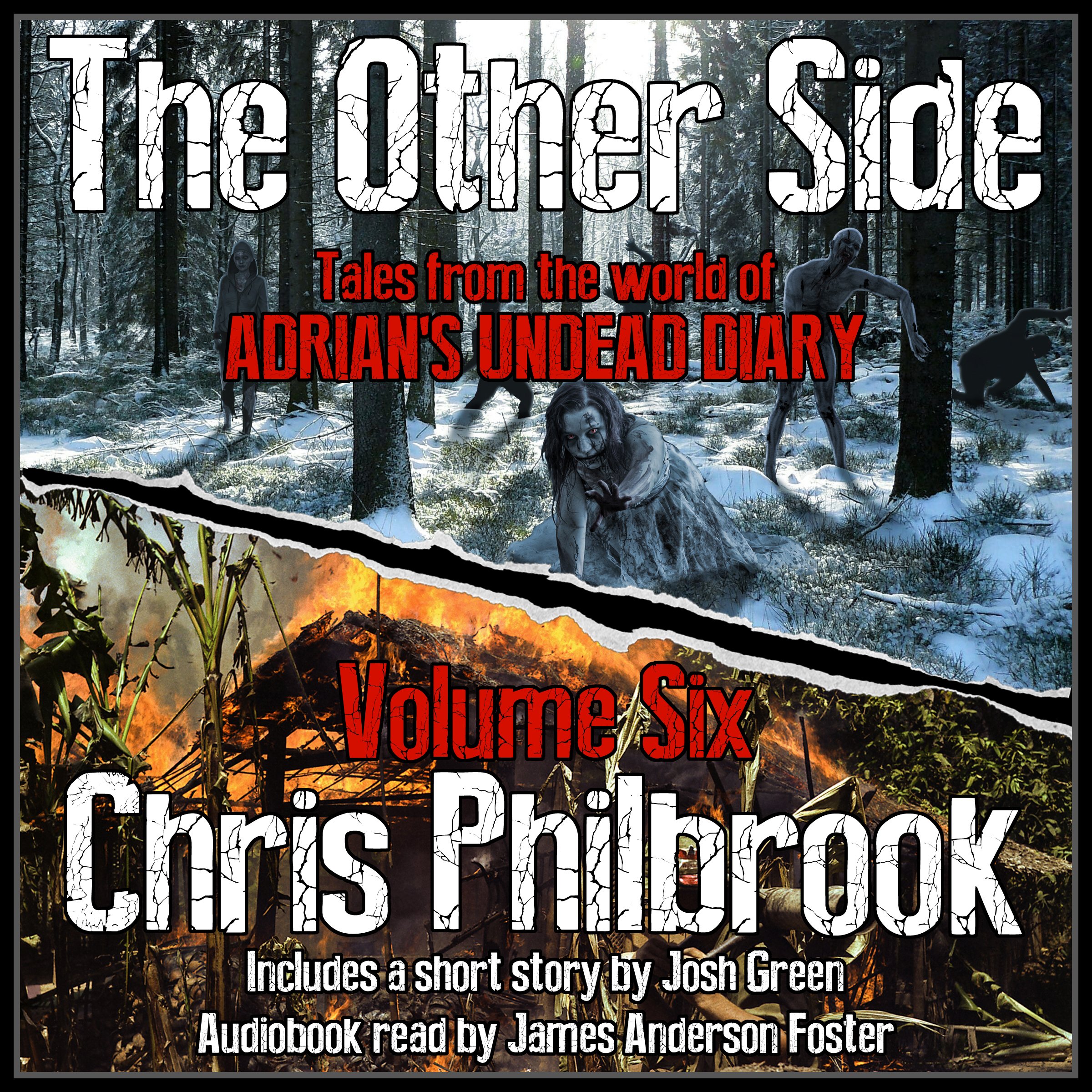 Cover art for The Other Side: Tales from the World of Adrian's Undead Diary, Volume Six