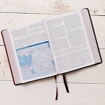 人文 NASB, MacArthur Study Bible, 2nd Edition NASB MacArthur Study Bible, 2nd Edition, Comfort Print--soft