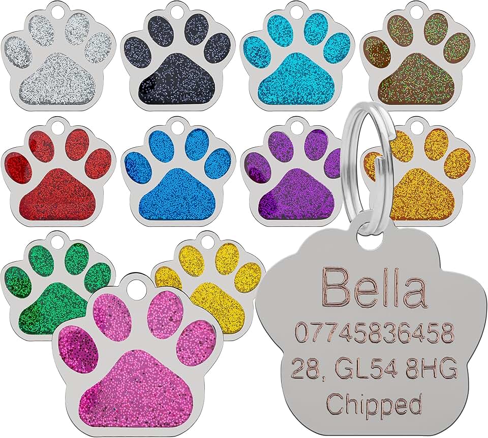 Amazon.co.uk dog collar tags
