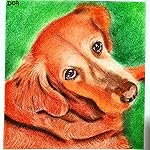 Review Image by Angel