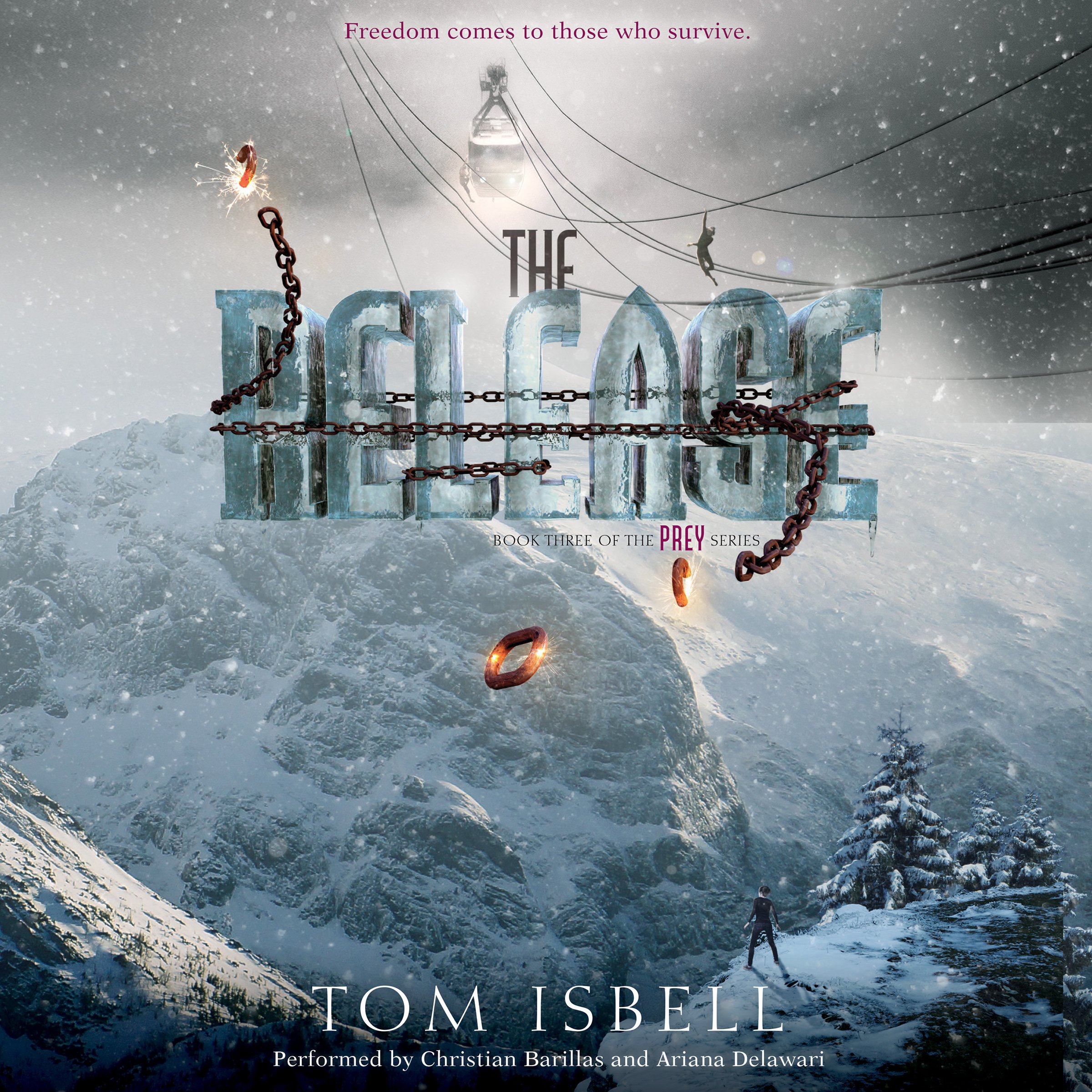 Cover art for The Release