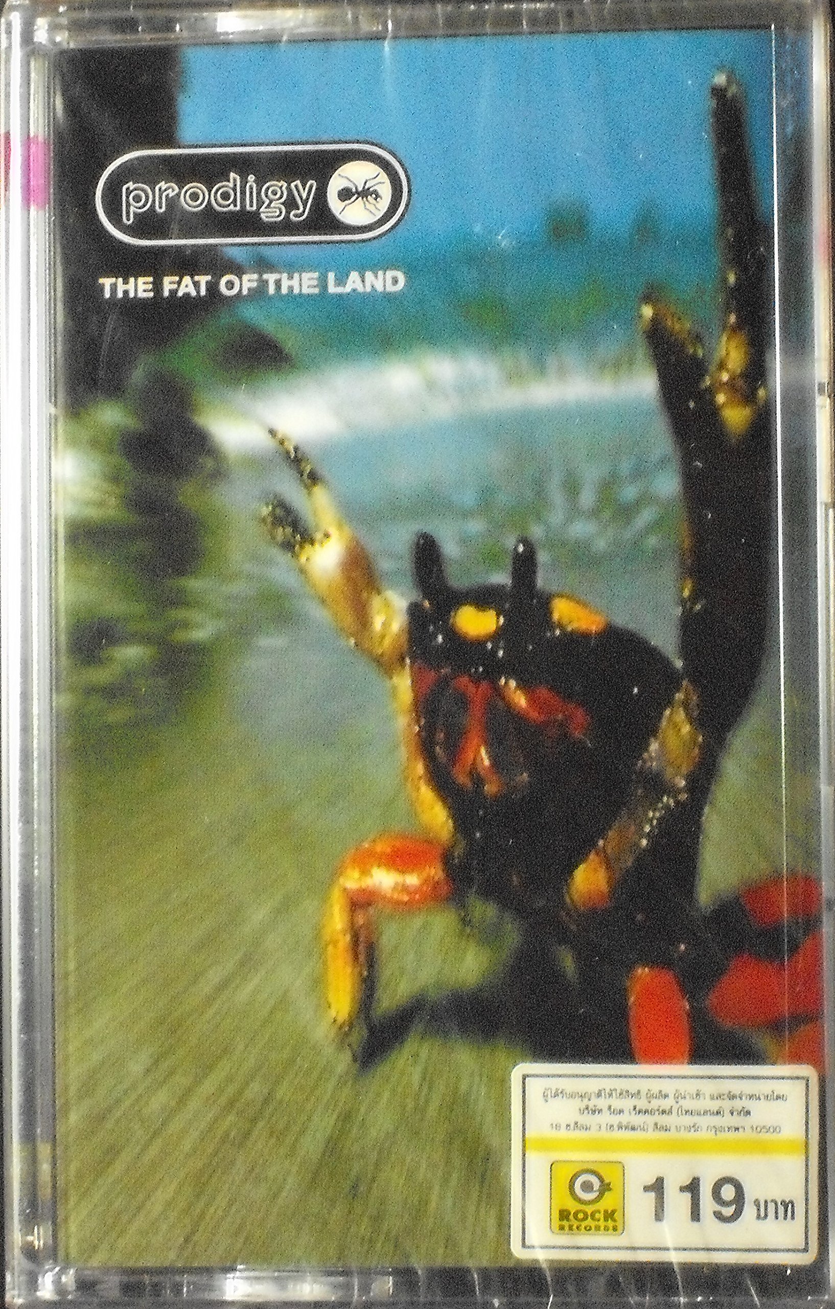 Fat of the Land : Prodigy: Amazon.es: CD y vinilos}