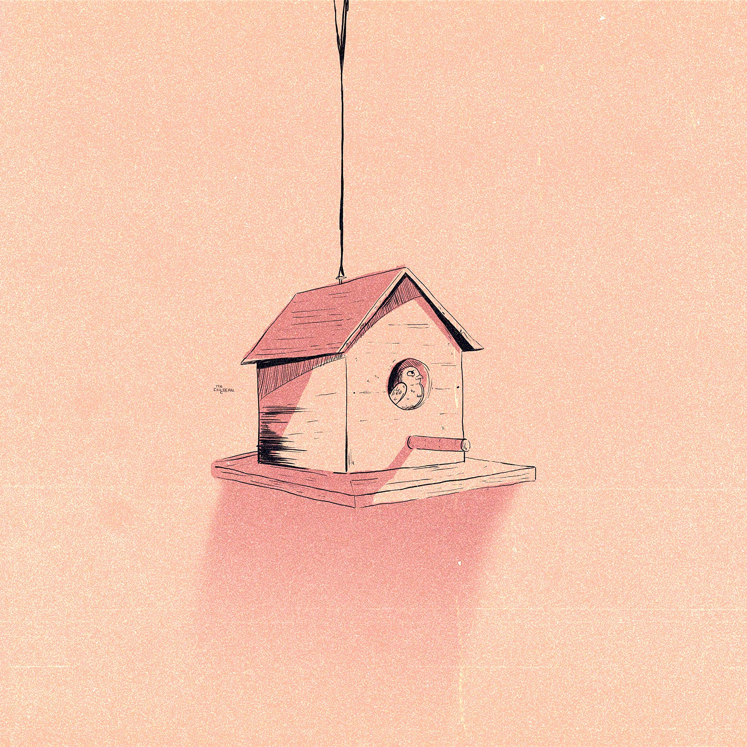 Adam Youngman & Monty Datta