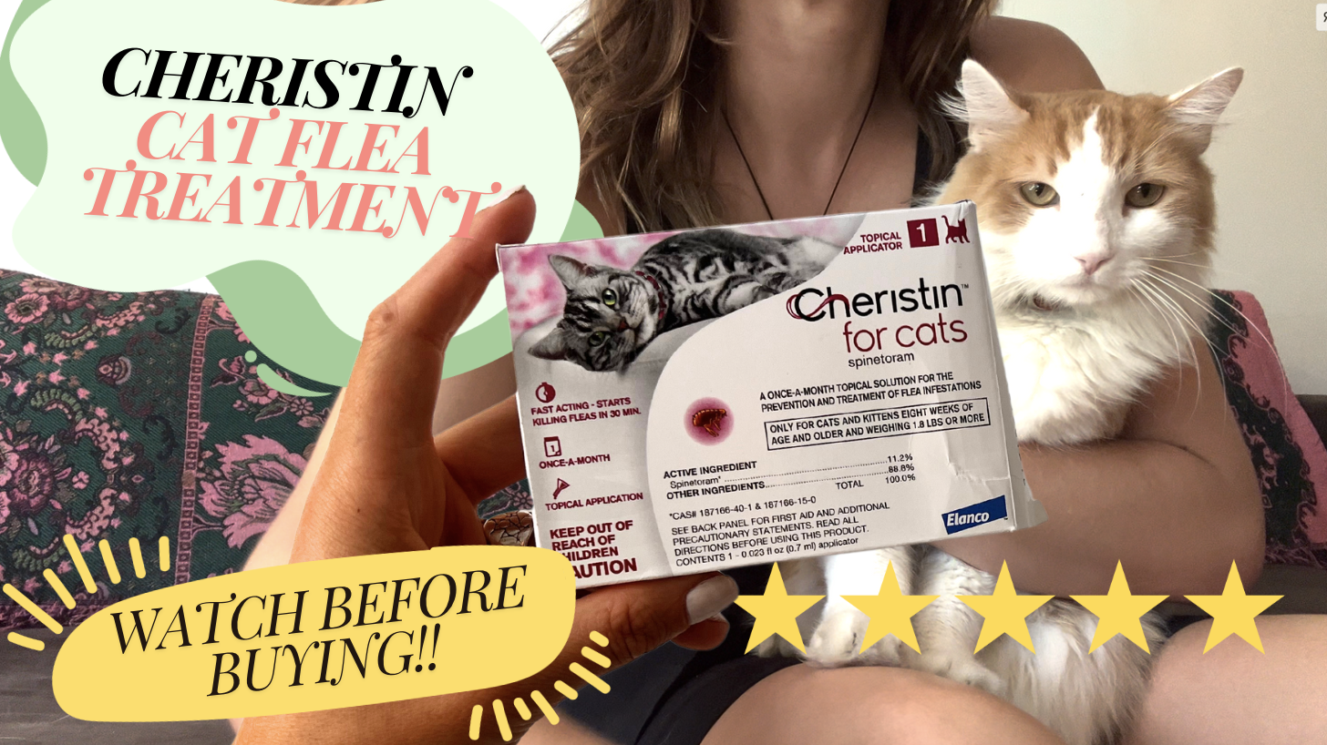 Elanco Cheristin Flea Medicine Cheristin Cat Cheristin Cat Flea