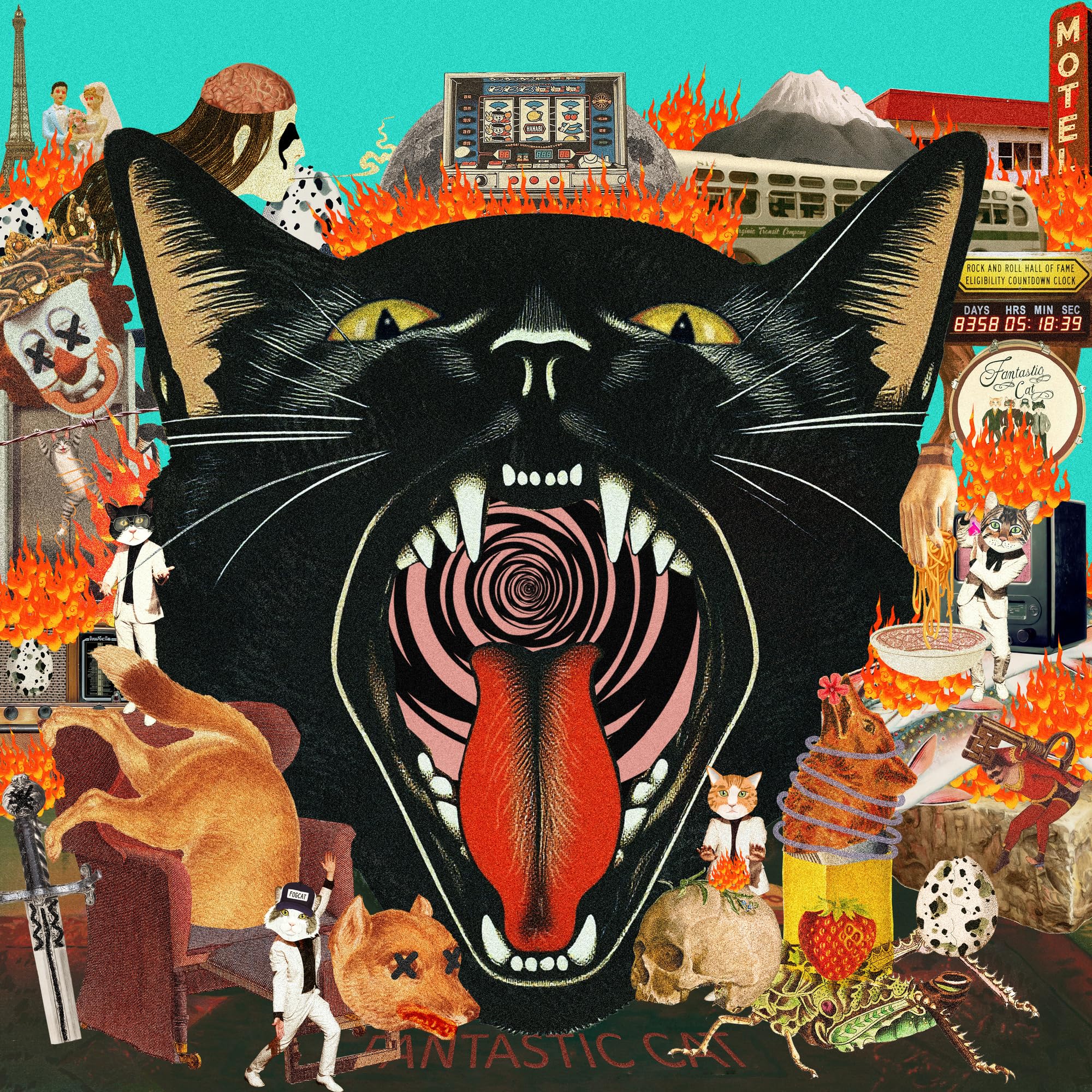 Cat Out of Hell [VINYL]