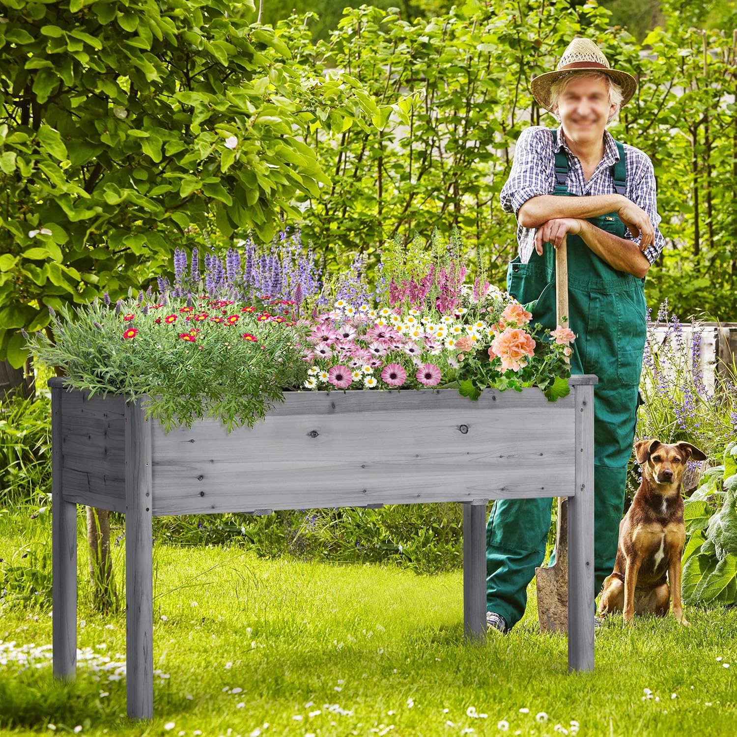 A man with a straw hat and a dog standing next to a planted Yaheetech raised garden bed in a garden setting.