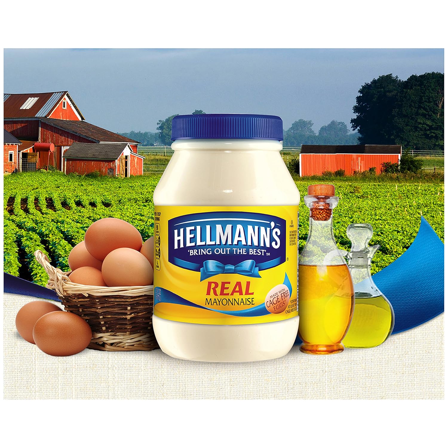 Hellmann's Mayonnaise, Made With Cage Free Eggs, 15 Fluid Ounces (Pack Of 12)