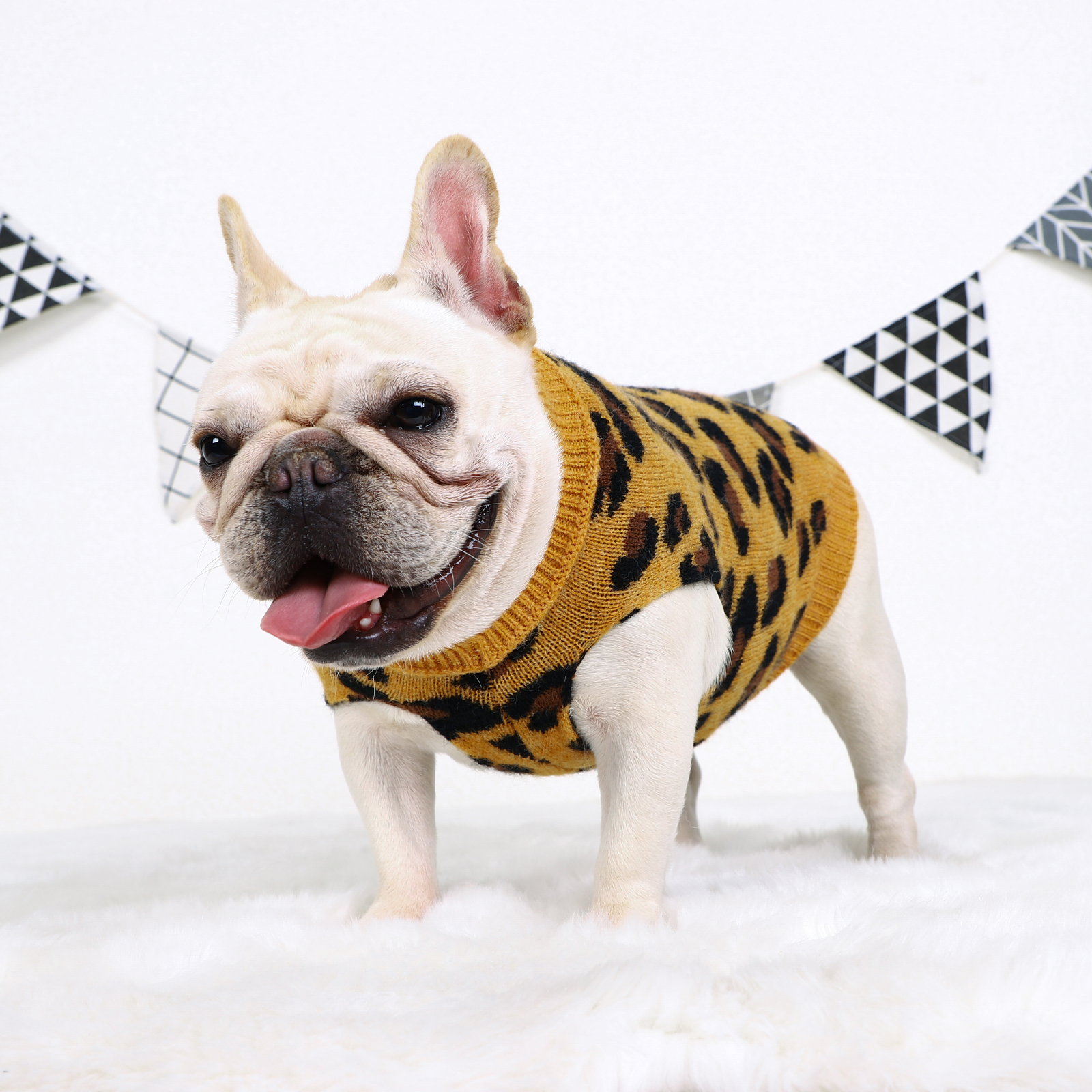 leopard dog sweater