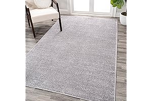 JONATHAN Y Haze Solid Low-Pile Indoor Area-Rug for College Dorm