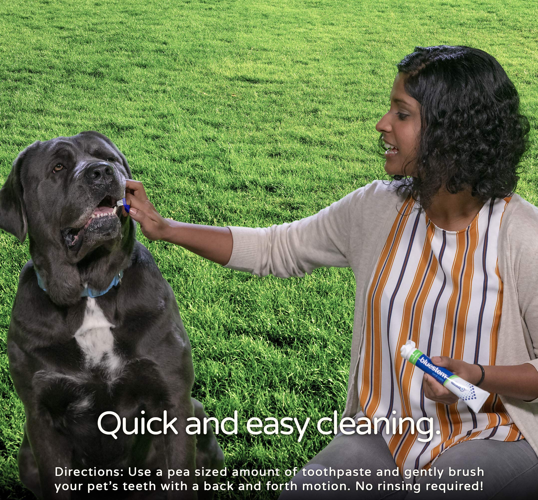 Dog Toothpaste Vanilla Mint Flavor Tooth Paste For