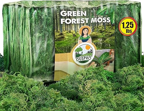 Miniatura 7 de DUSPRO Musgo del Bosque Verde (2oz)