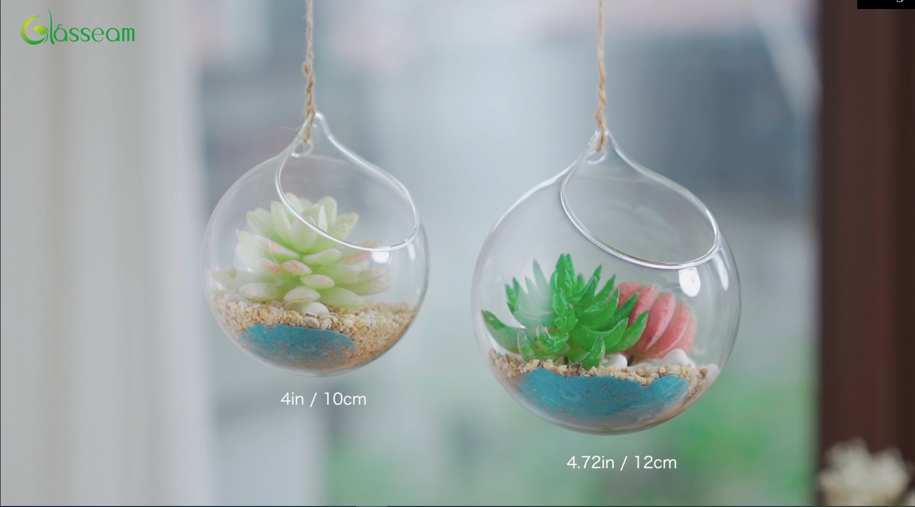 Runde Glas-Pflanzvase Zum Aufhängen – Transparente Terrarienkugel Für Luftpflanzen & Sukkulenten, Mit Eisenhalter