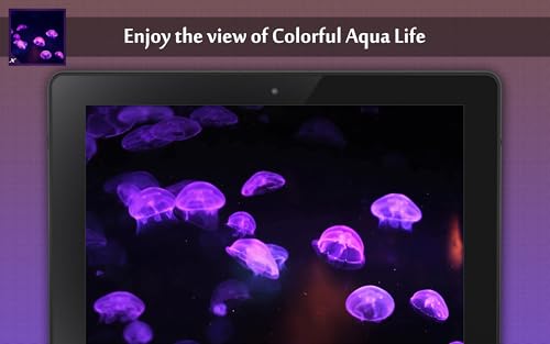 Funky Jelly Fish Aquarium - Colourful Aqua Life