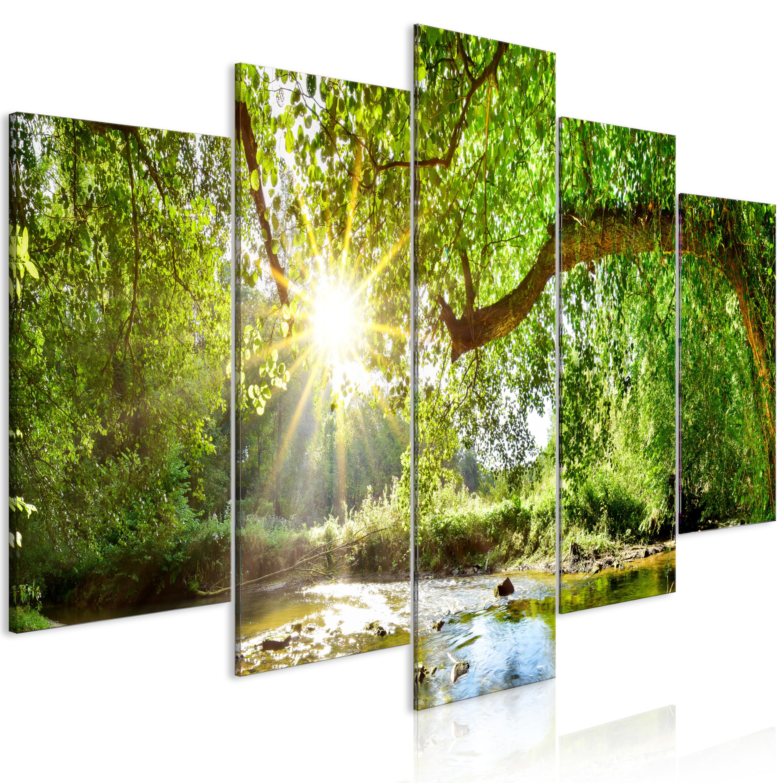 B&D XXL - Quadro Fonoassorbente Albero Nei Raggi Del Sole 100x50 cm 5 Pezzi - Canvas - Quadri Acustici Componibili XXL Grandi - Pannelli Fonoassorbenti Decorativi per Soggiorno b-B-10226-b-a