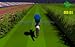 Horse Racing 3D (Kids Edition)