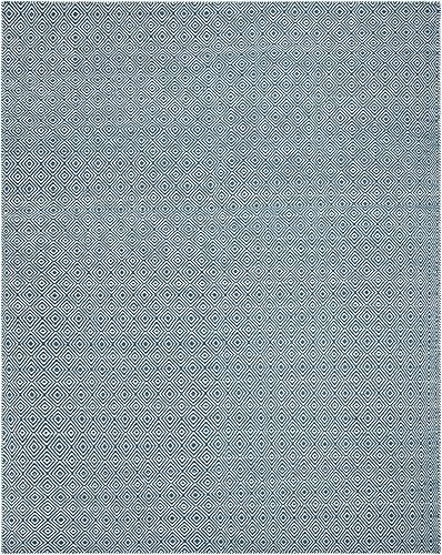 SAFAVIEH Oasis Collection OAS525B - Alfombra de lana de tejido plano hecha a mano (8 x 10 pies)