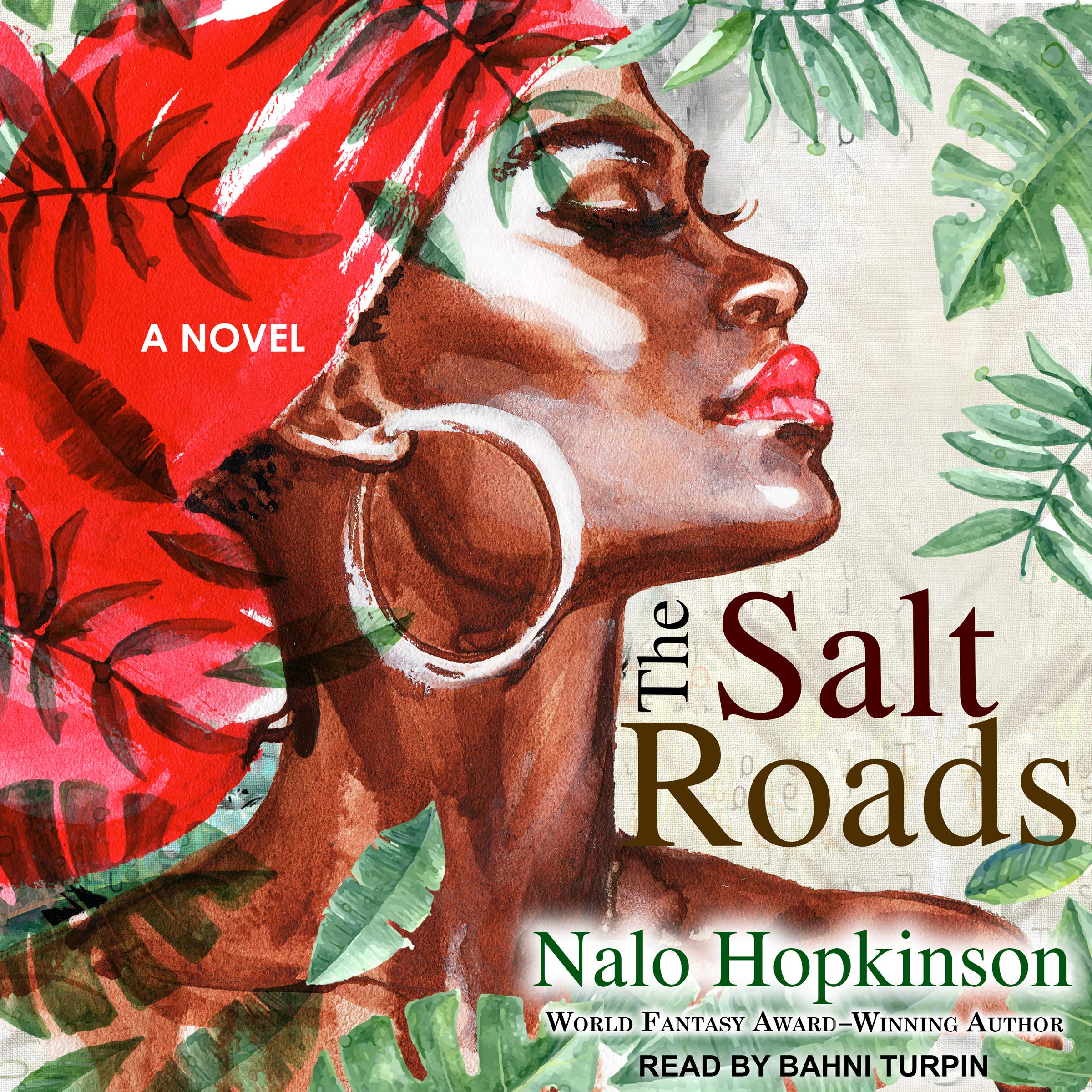 Cover art for The Salt Roads