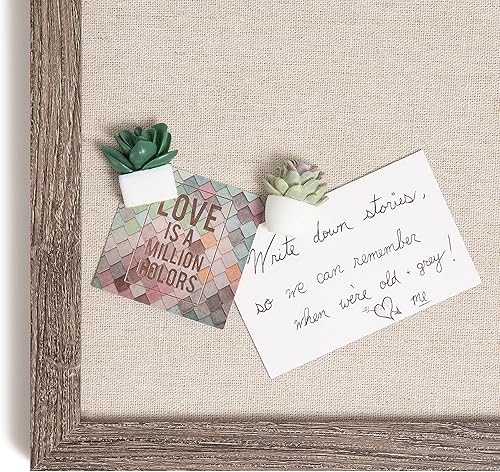 Miniatura 7 de U Brands Juego de pasadores para suculentas, suministros de oficina, tres estilos surtidos, 9 unidades