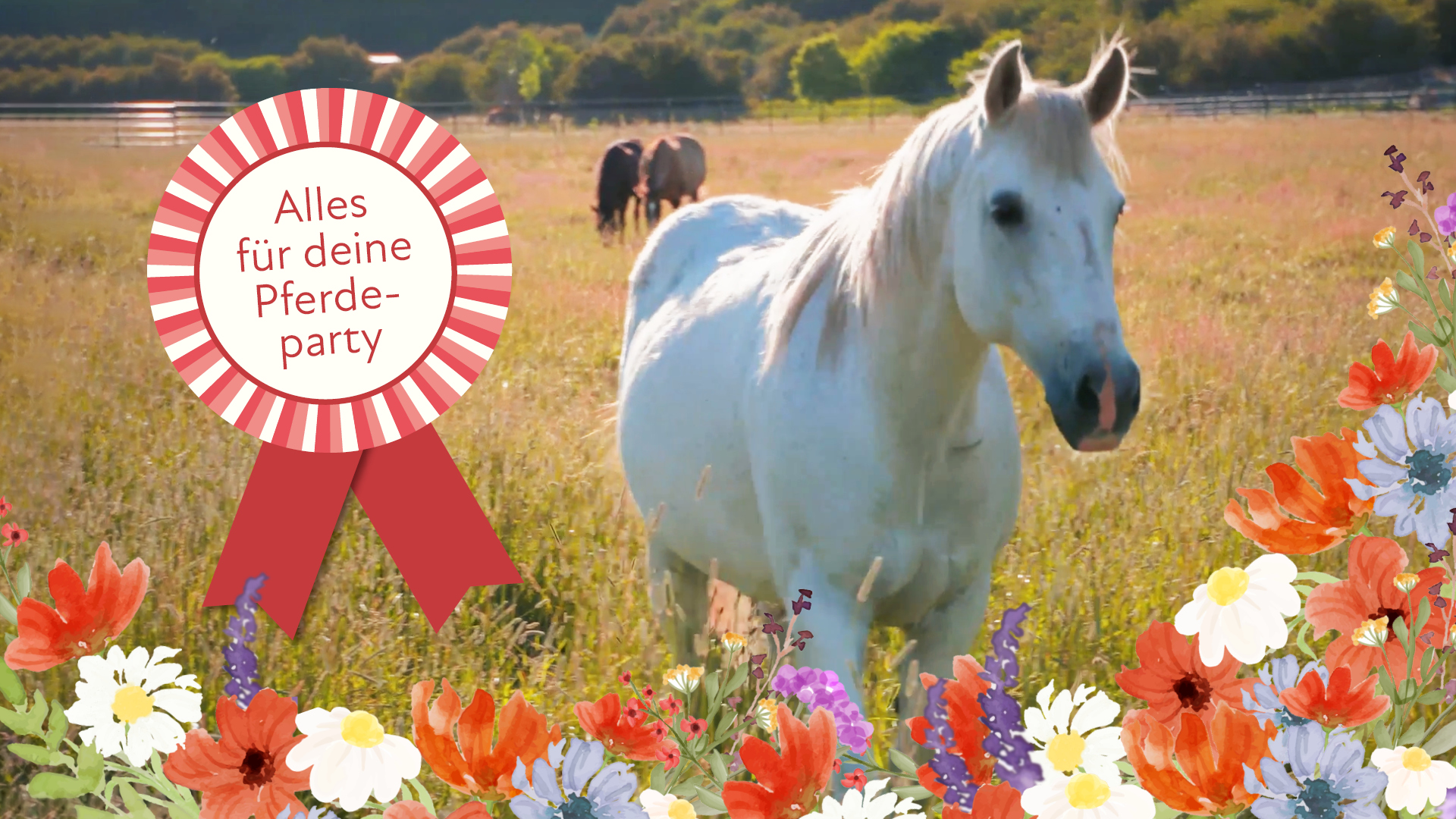 Pferd Tortendeko Set 41-teilig | Pferderennen Motto Für Kindergeburtstag