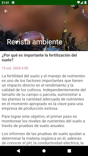 Revista ambiente