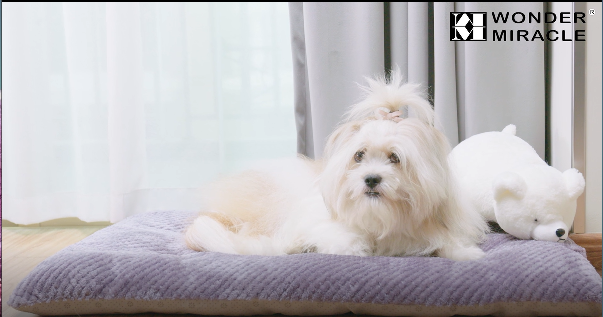 WONDER MIRACLE Fuzzy Deluxe Pet Beds, Super Plush Dog or Cat Beds Ideal for Dog Crates, Machine Wash & Dryer Friendly… - Image 7