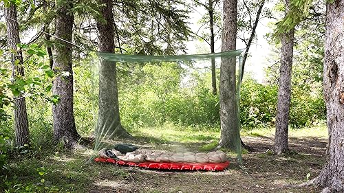 Vista 15 de Mosquitero Coghlan's Varios