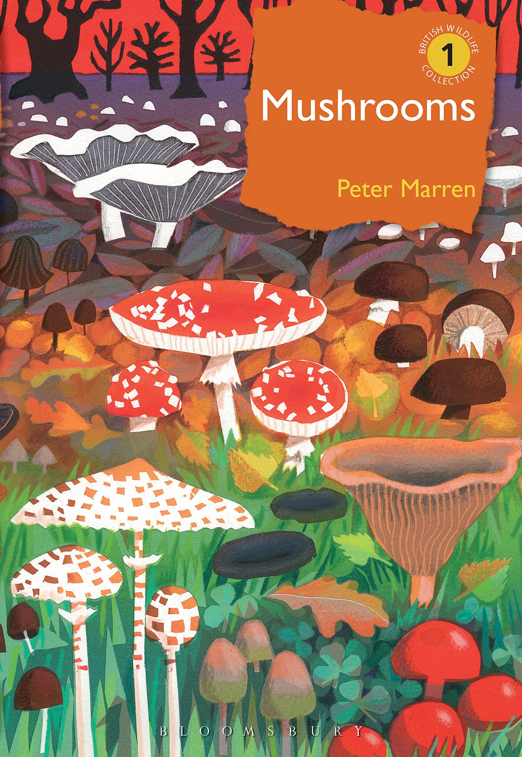 Mushrooms: The natural and human world of British fungi (British Wildlife Collection Book 1)
