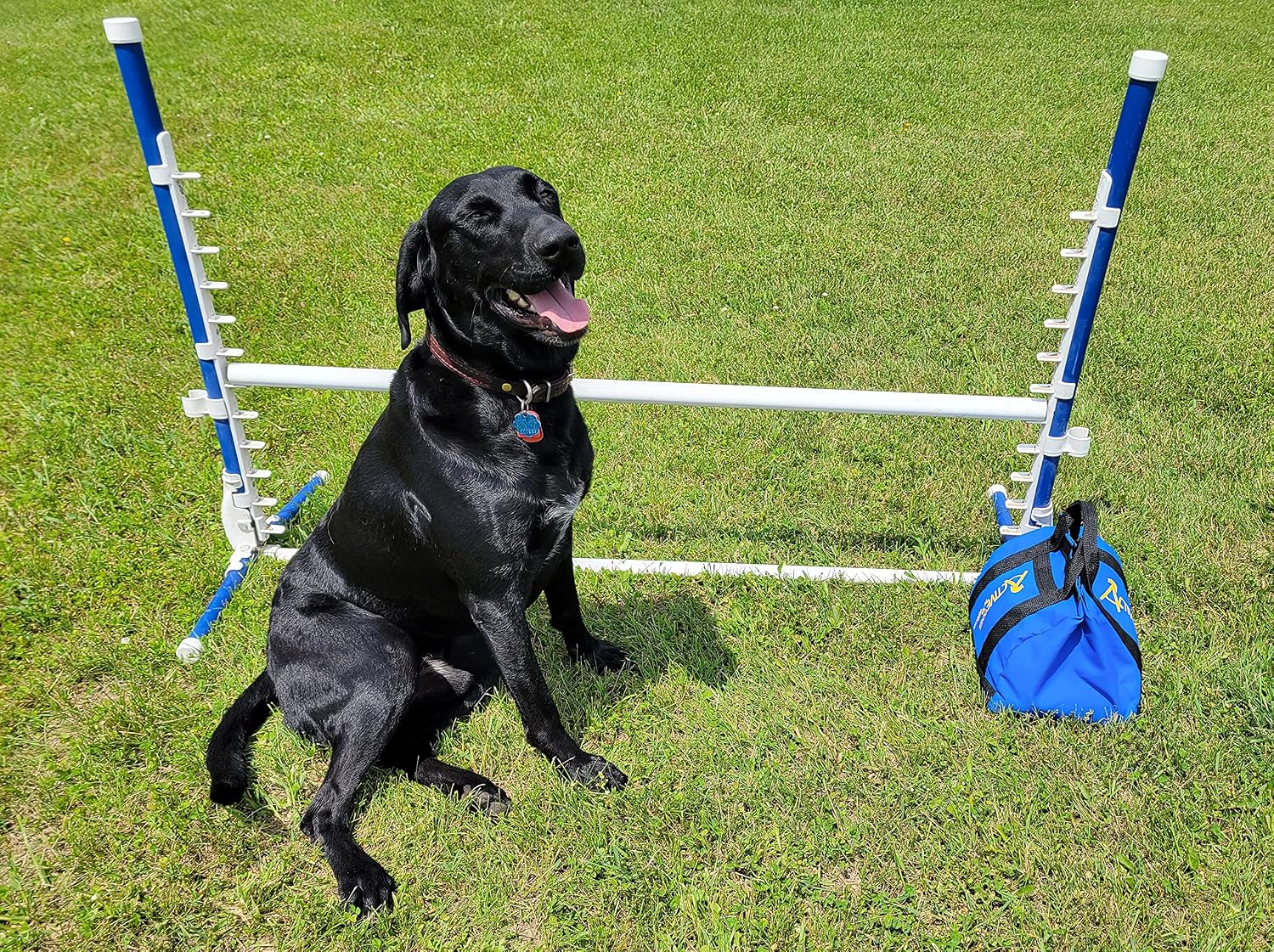 ActiveDogs Agility Low-Gravity Large Sand Bag - 20# Bag Capacity - Non-Constricting Saddlebag for Stabilizing Dog Agility Tunnel & Equipment - Indoor or Outdoor Use (Medium - 20# Bag)