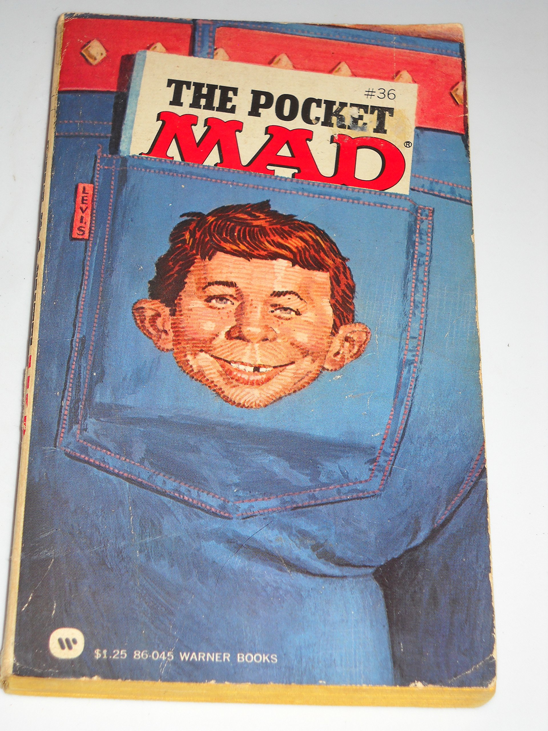 Buy The Pocket Mad — BookShops.in