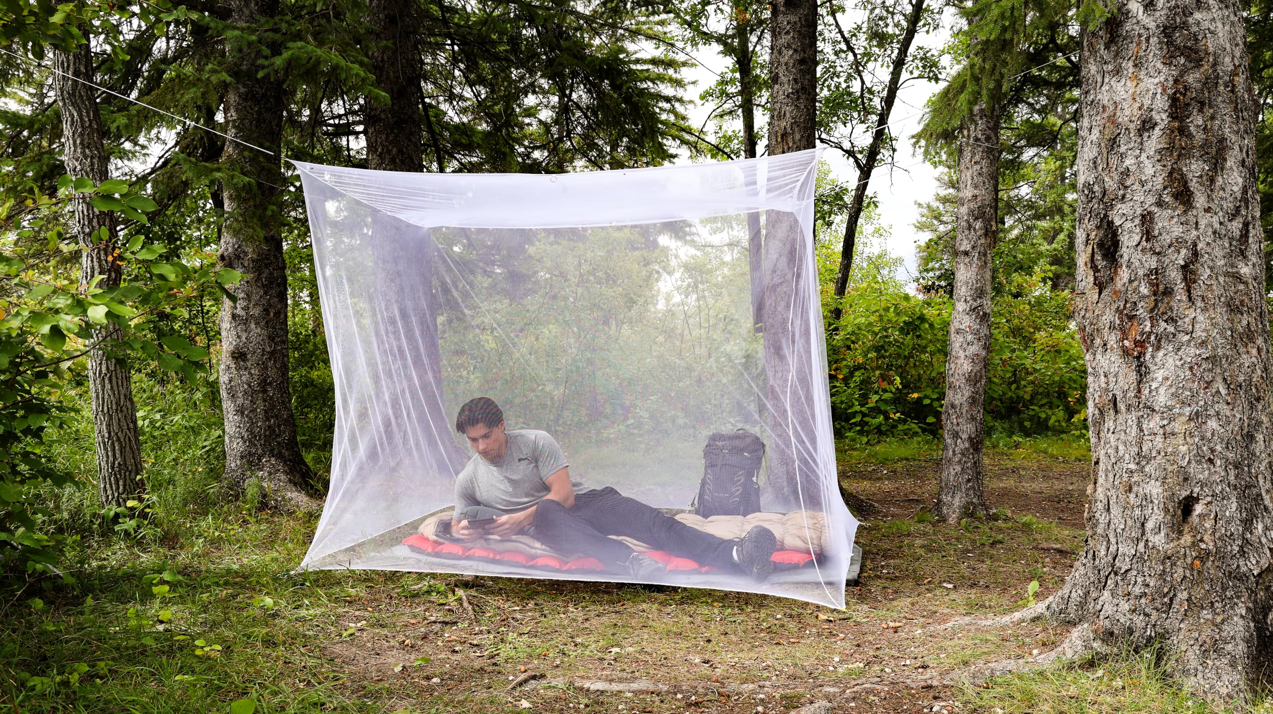 Amazon.com: Double Mosquito Net - White : Sports & Outdoors
