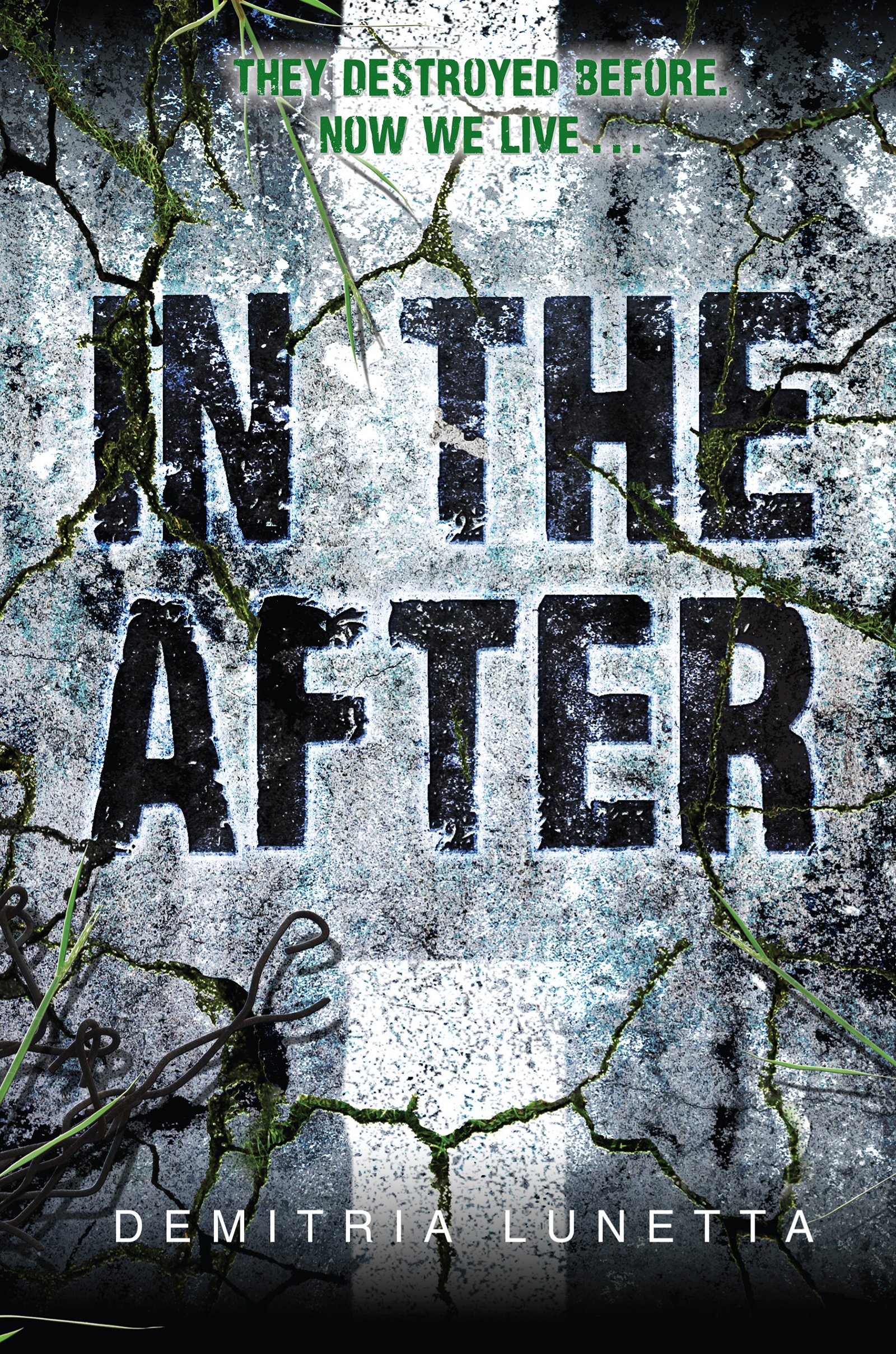 Cover of In the After