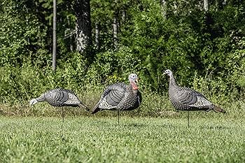 Amazon.co.jp: HUNTERS SPECIALTIES HS ストラットライト