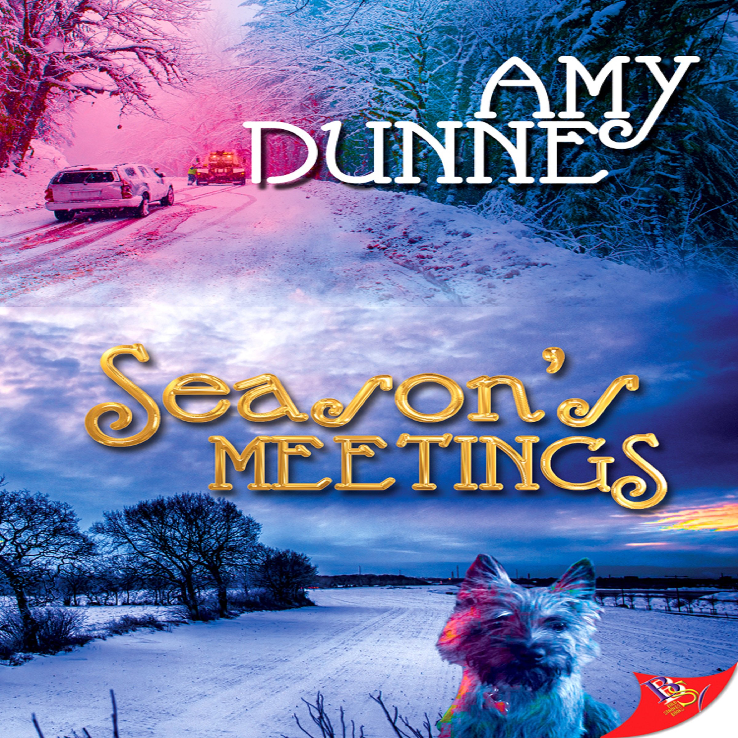 Cover art for Season's Meetings