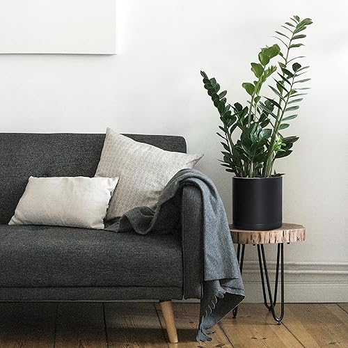 Miniatura 9 de D'vine Dev Paquete de 4 macetas de plástico modernas de 4 pulgadas, macetas de jardín pequeñas para plantas con agujeros de drenaje y platillos,