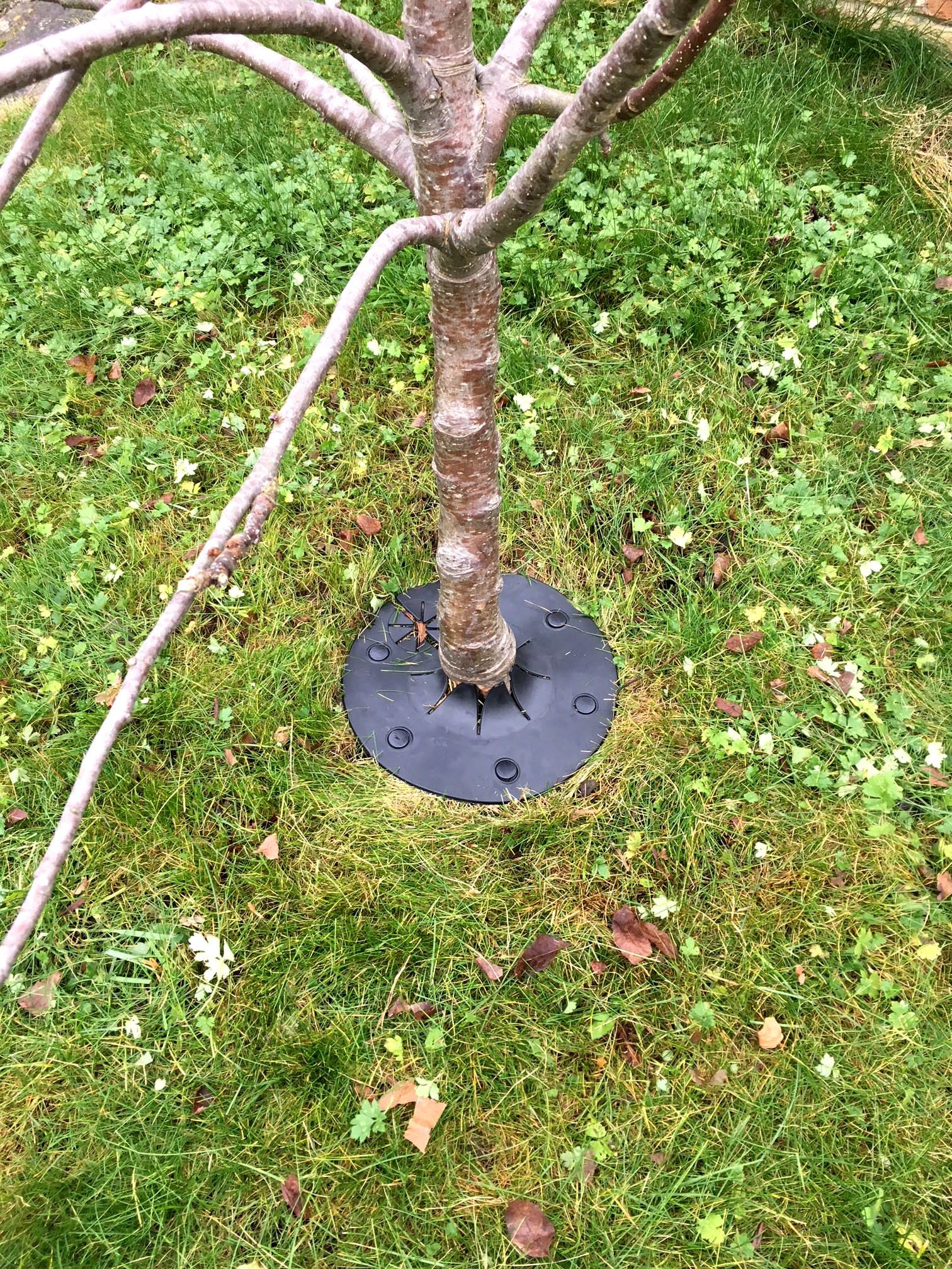 Proops Tree Shrub Landscape Ring Mat Guard Protector Barrier for Grass and Weed Control Maintenance, UV Resistant. (X8139) Free UK Postage. (1)