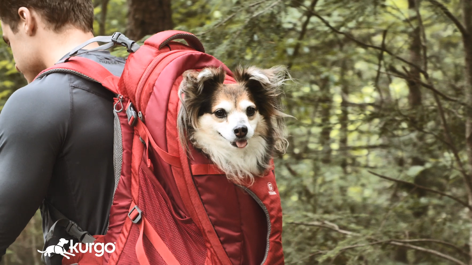 Kurgo G-Train - Dog Carrier Backpack for Small Pets - Cat & Dog Backpack for Hiking, Camping or Travel - Waterproof… - Image 8