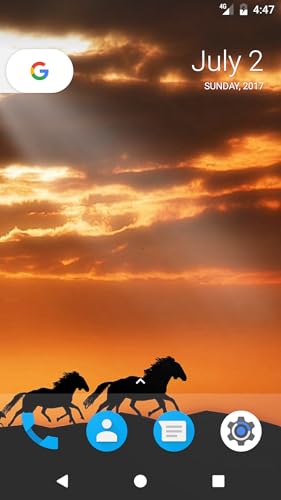 Horse HD Wallpapers