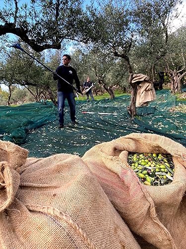 Miniatura 8 de Aceite de oliva de chile - Aceite de oliva virgen extra griego prensa en frío con chiles rojos picantes griegos