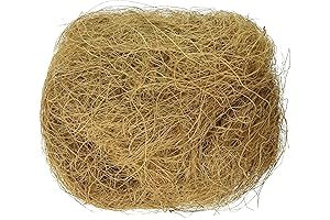 Wild Solace: Nesting Comfort for Birds