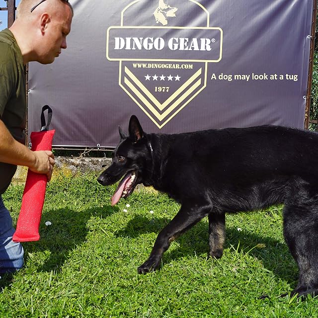 Foto 3 de 8 de Dingo Gear - Remolque de Nailon para Entrenamiento de Perros IGP IPO Schutzhund para búsqueda ciega de presas…