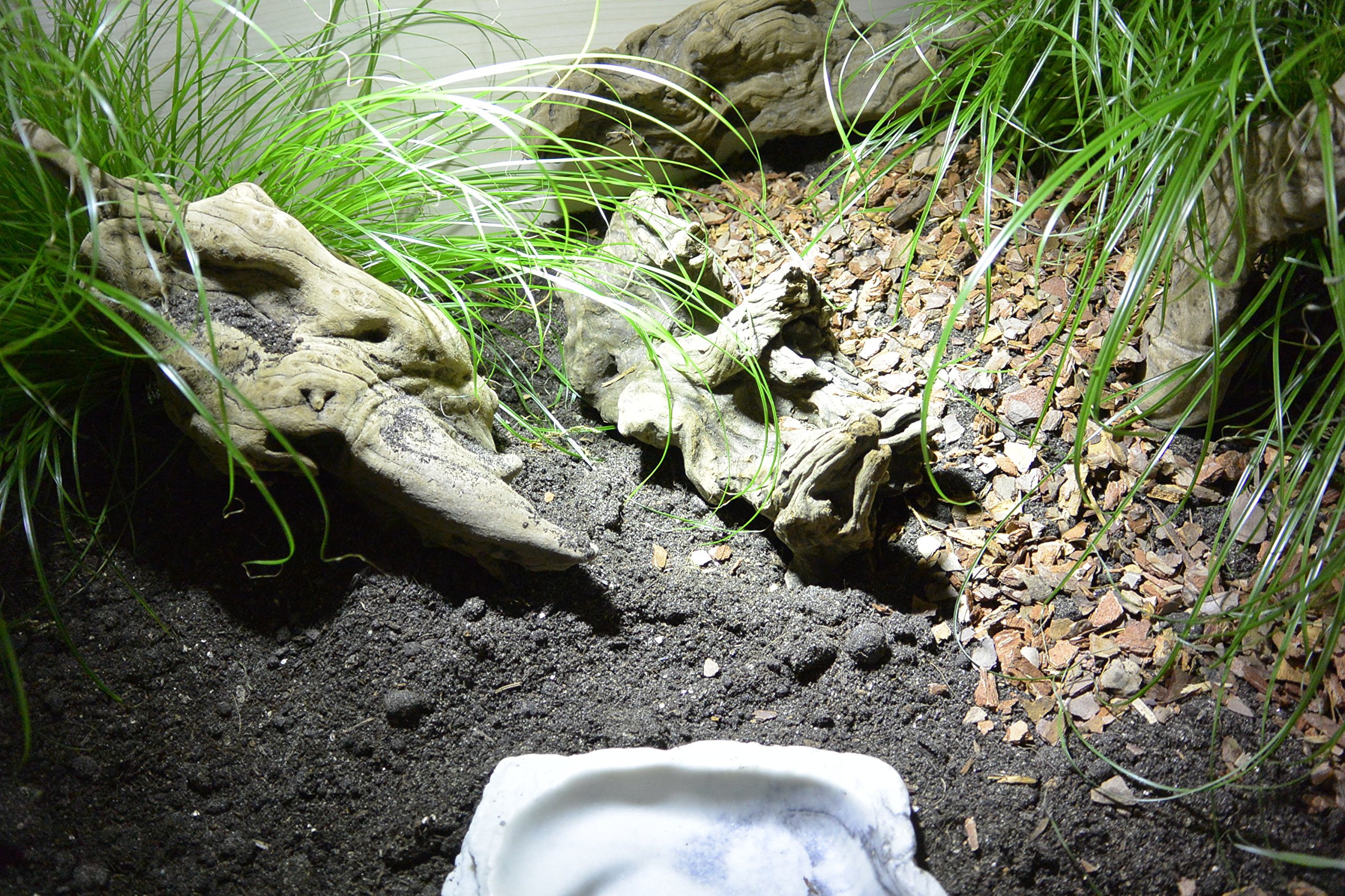 Lucky Reptile JB-10 Jungle Bedding, 10 Liter, Bodengrund für Tropenterrarien & Hydro Drain 8 l, Drainagematerial für Bodengrund im Tropenterrarien