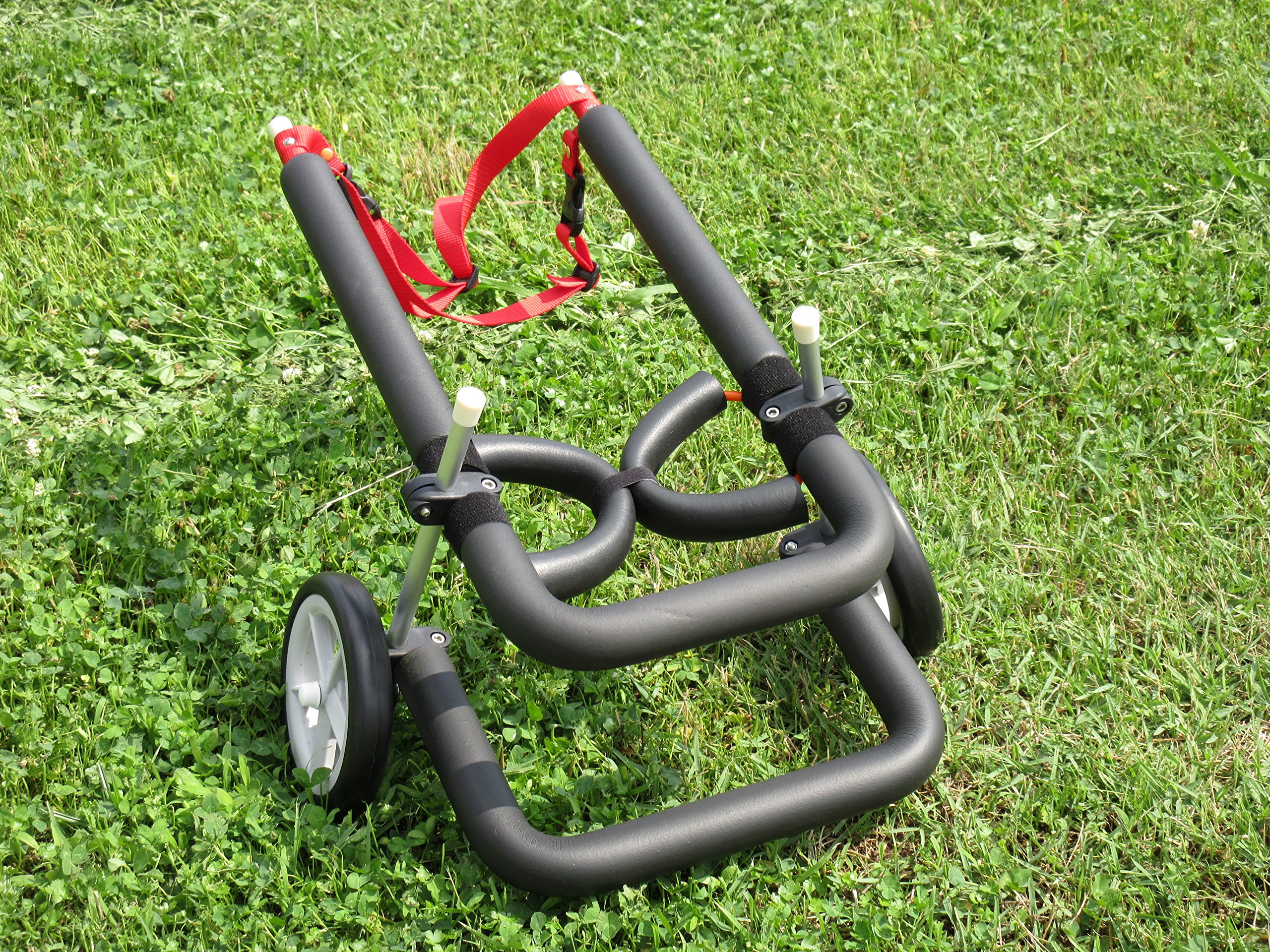 Amazon.co.jp: 犬用車椅子 歩行器 小型犬用 オーダーメイド 2輪 室内