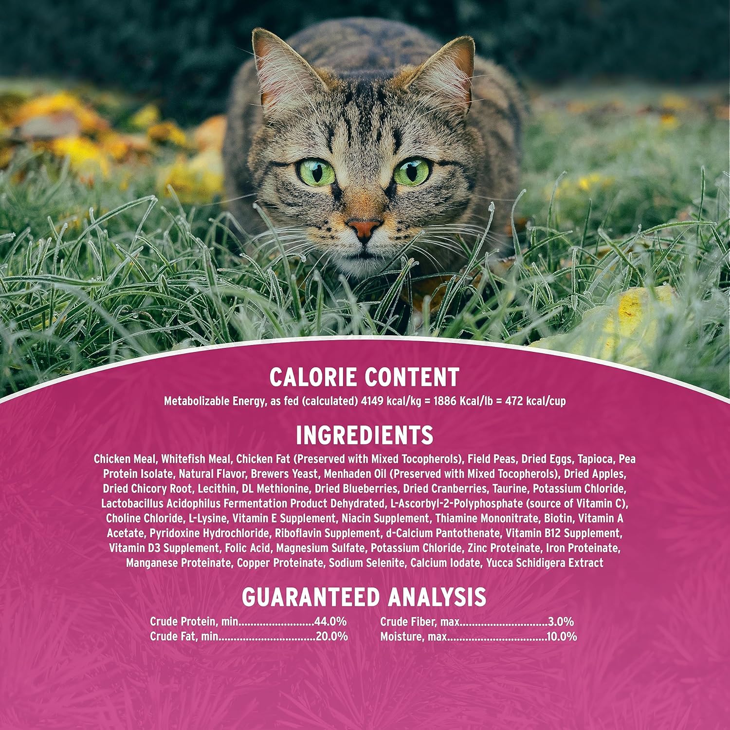 Annamaet Grain-Free Feline Formula Dry Cat Food, (Chicken & Fish), 12-lb Bag